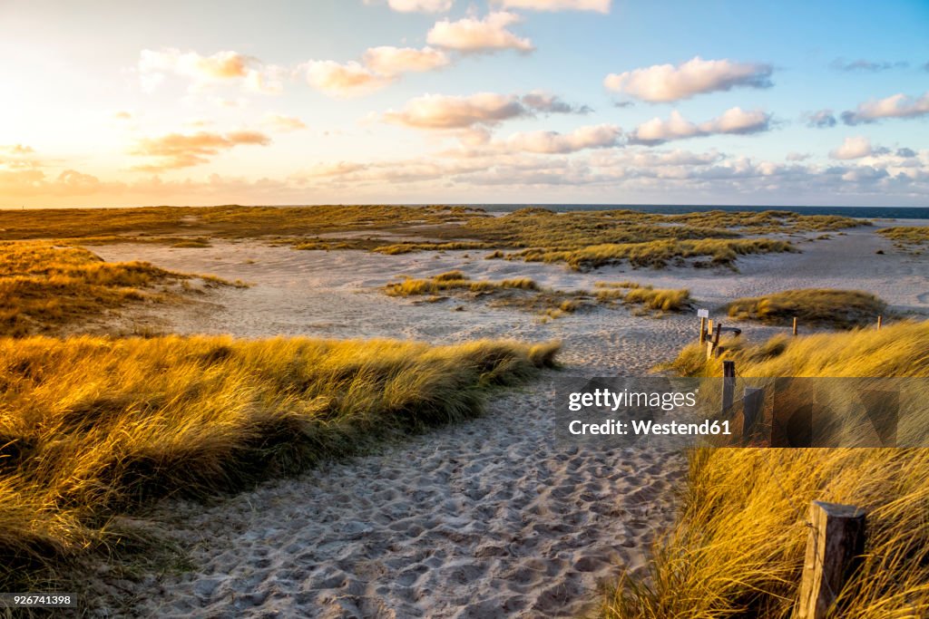 Germany, Schleswig-Holstein, Sylt, Wenningstedt