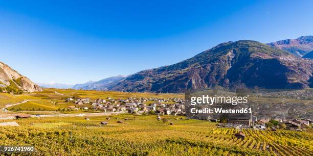 switzerland, valais, leytron, townscape and vineyards - rhone valley stock pictures, royalty-free photos & images