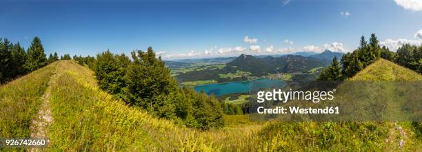 austria, salzburg state, lake fuschlsee seen from filbing mountain - fuschlsee stock-fotos und bilder