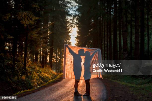 silhouette of couple holding blanket kissing on country road in forest - kuss stock-fotos und bilder