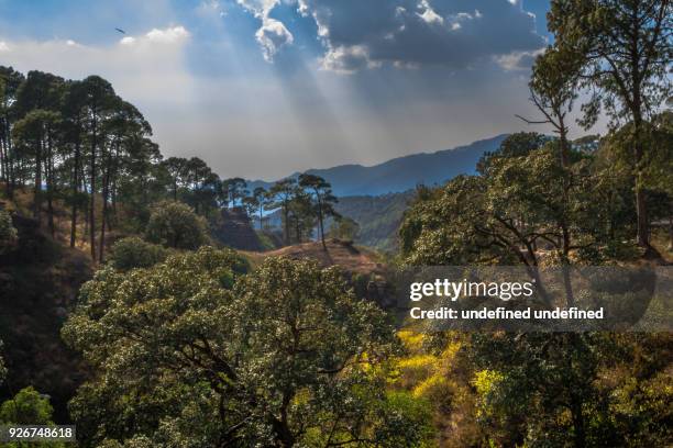 hill station landscape - uttarakhand stock pictures, royalty-free photos & images