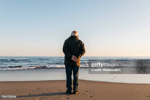 senior man looking at the sea, rear view - man standing rear view stock pictures, royalty-free photos & images