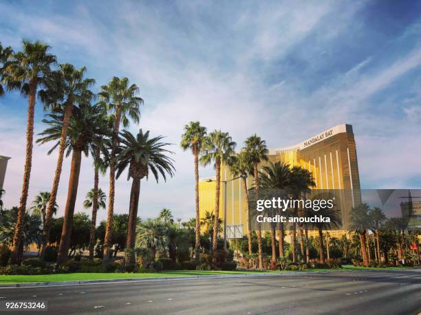 andalay bay hotel viewed from las vegas boulevard, las vegas, usa - mandalay bay resort & casino stock pictures, royalty-free photos & images