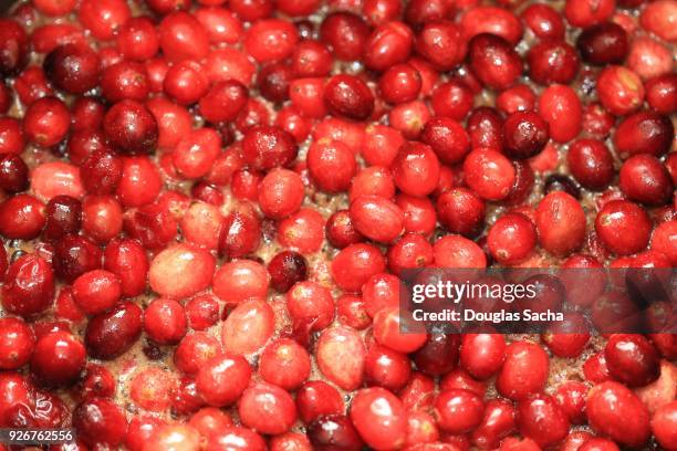 full frame of cranberries in a cooking pot (vaccinium macrocarpon) - stachelbeere stock-fotos und bilder