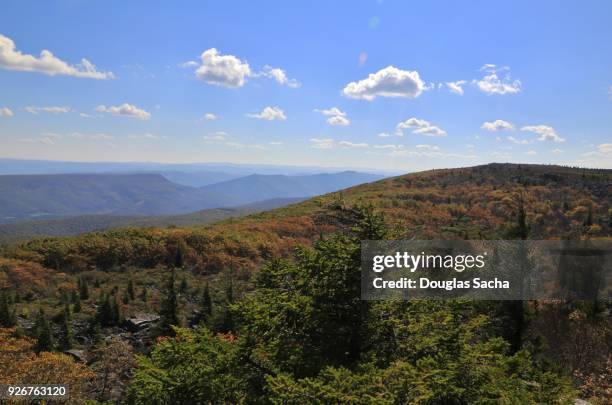 grassy meadow, dolly sods wilderness, west virginia, usa - monongahela national forest stock pictures, royalty-free photos & images