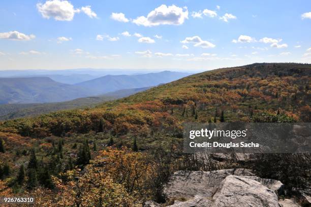 west virginia mountain top - monongahela national forest stock pictures, royalty-free photos & images