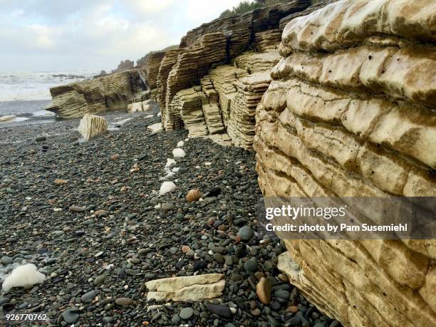 close-up of pancake rocks, punakaiki, new zealand - calcário rocha sedimentar imagens e fotografias de stock