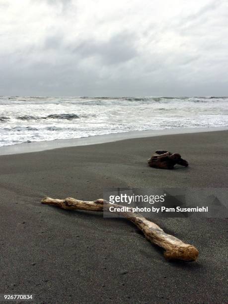driftwood on black sand beach, hokitika, new zealand - driftwood bildbanksfoton och bilder