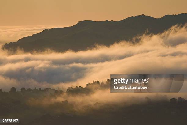 san francisco area: east bay hills in early morning fog - east bay regional park stockfoto's en -beelden