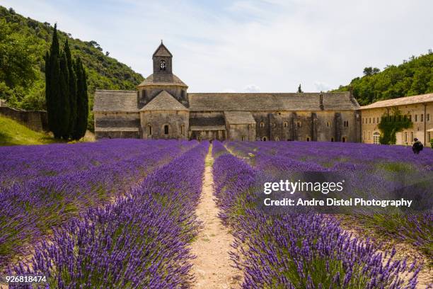 provence - france - rhone stock pictures, royalty-free photos & images