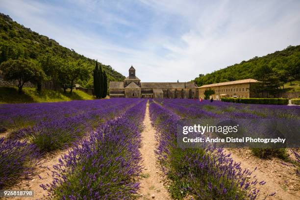 provence - france - traum bildbanksfoton och bilder