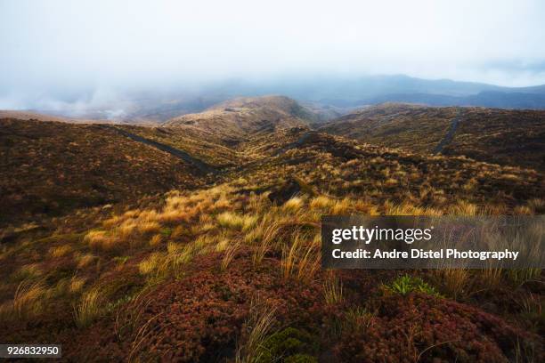 tongariro national park - new zealand - neuseeland stock pictures, royalty-free photos & images