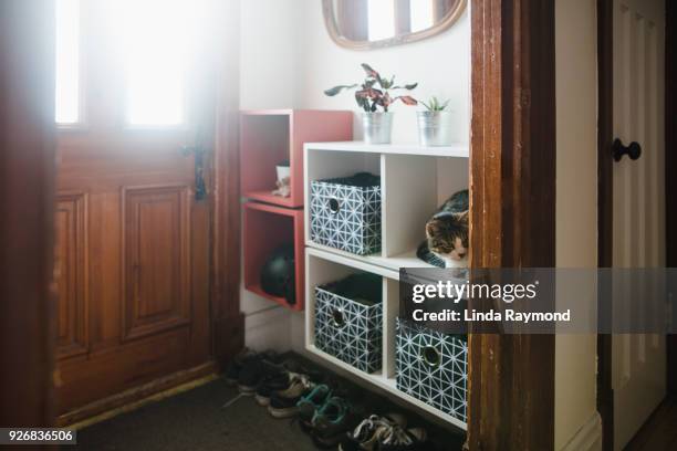 entrance hall with storage compartment and a cat inside - storage basket stock pictures, royalty-free photos & images