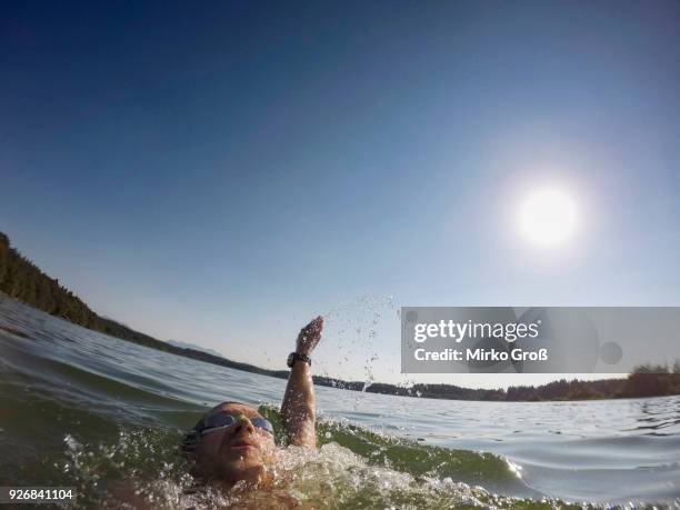 mature man swimming backstroke across lake, close up - backstroke stock pictures, royalty-free photos & images