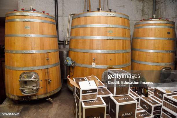 Large oak fermentation barrels of Pinot Grigio at Kabaj Morel Guest House and winery Slovrenc Dobrovo Brda Slovenia.