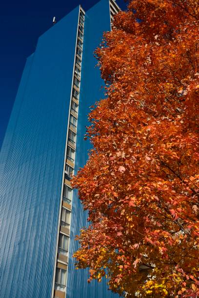 Cladding On High Rse 489 Red Cladding Stock Photos, High-Res Pictures, and Images - Getty Images
