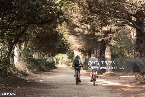 rear view of tourist couple cycling along tree lined road, porquerolles, provence-alpes-cote dazur - provence alpes cote dazur stock pictures, royalty-free photos & images