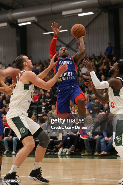 Kay Felder of the Grand Rapids Drive shoots the ball against the Wisconsin Herd on February 9, 2018 at the Menominee Nation Arena in Oshkosh,...