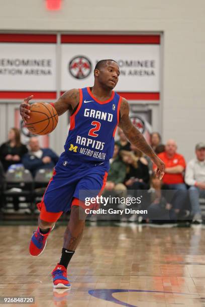 Kay Felder of the Grand Rapids Drive handles the ball against the Wisconsin Herd on February 9, 2018 at the Menominee Nation Arena in Oshkosh,...