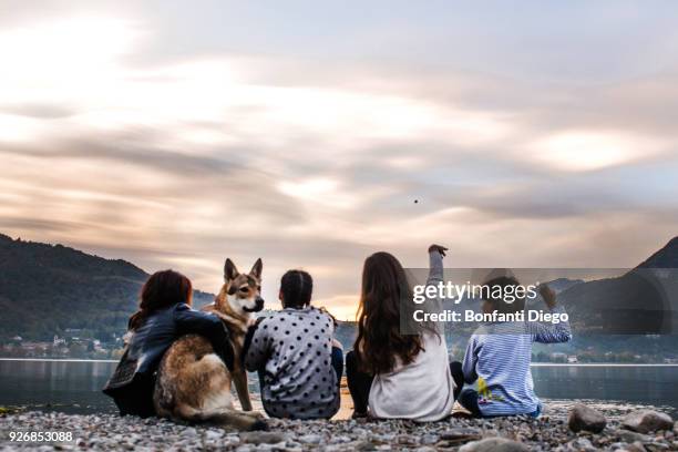 rear view of boy with family and dog throwing pebbles into river at dusk, vercurago, lombardy, italy - dog family stock pictures, royalty-free photos & images