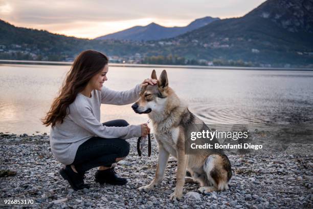young woman petting dog on riverbank, vercurago, lombardy, italy - vercurago stock pictures, royalty-free photos & images