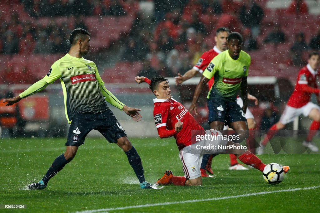 Marítimo vs Benfica: Primeira Liga Stats, Head-to-Head & Match Preview Marítimo vs Benfica: Primeira Liga Stats, Head-to-Head & Match Preview
