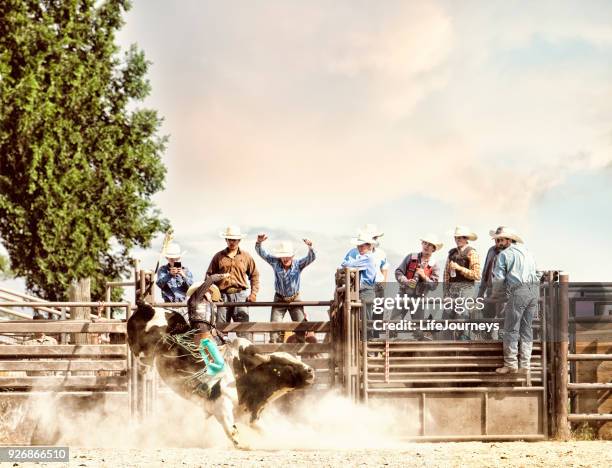 bull rider going for that 8 second ride prize.  cowboy friends in the background cheering him on. - rodeo background stock pictures, royalty-free photos & images