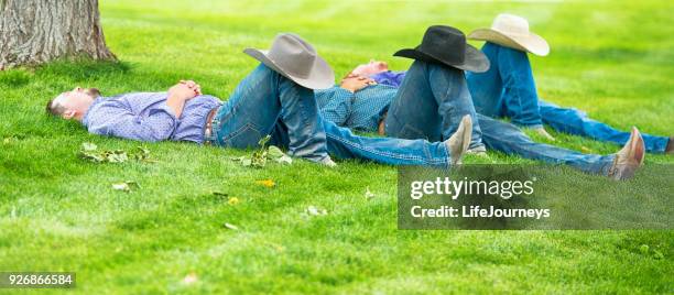 three cowboys sleeping under a shade tree  hats on knees - cowboy sleeping stock pictures, royalty-free photos & images