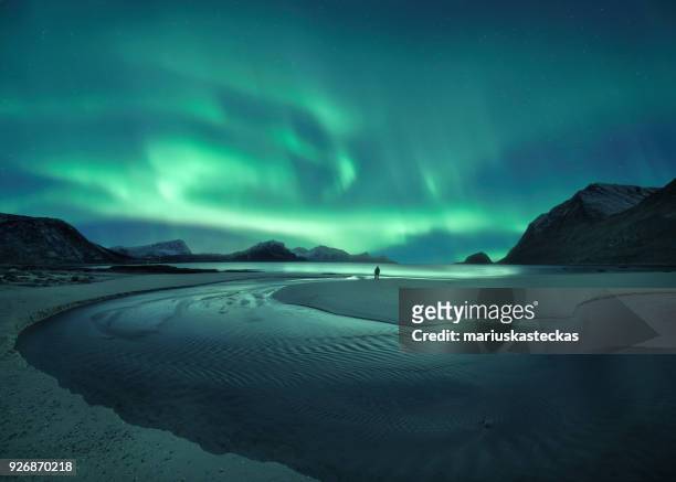 northern lights over the beach, lofoten, norway - aurora stockfoto's en -beelden