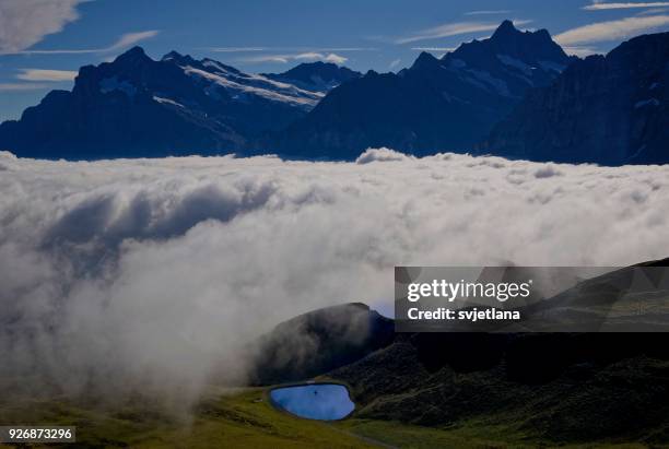 cloud carpet in the mountains, mannlichen, grindelwald, bern, switzerland - mannlichen stock pictures, royalty-free photos & images