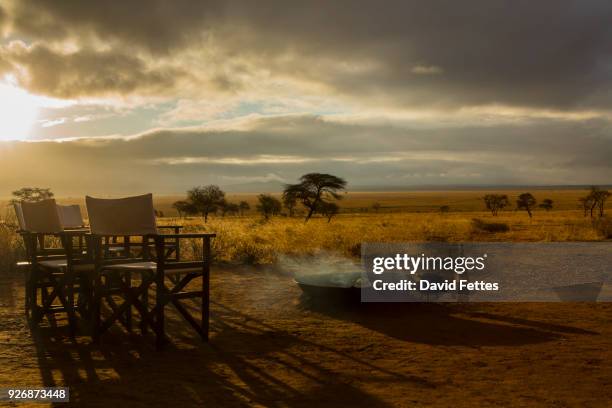 camp fire and chairs, tarangire national park, tanzania, africa - cadeira de diretor - fotografias e filmes do acervo