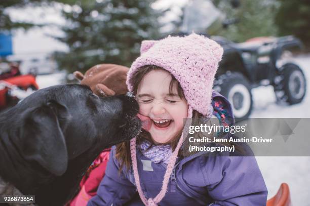 young girl with dog in snowy landscape, dog licking girls face - dog licking face stock-fotos und bilder