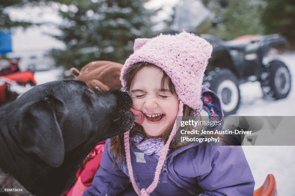Young girl with dog in snowy landscape, dog licking girls face