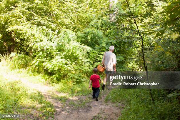 grandfather and grandson mushroom hunting in forest, prievidza, banska bystrica, slovak republic - banska bystrica stock-fotos und bilder