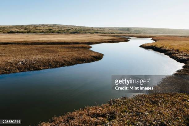 the open spaces of marshland and water channels. flat calm water. - watershed 2017 bildbanksfoton och bilder