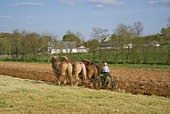 A man plowing a farm with horses