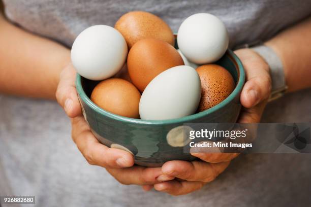 a woman holding bowl with fresh brown and white eggs. - animal egg stock pictures, royalty-free photos & images