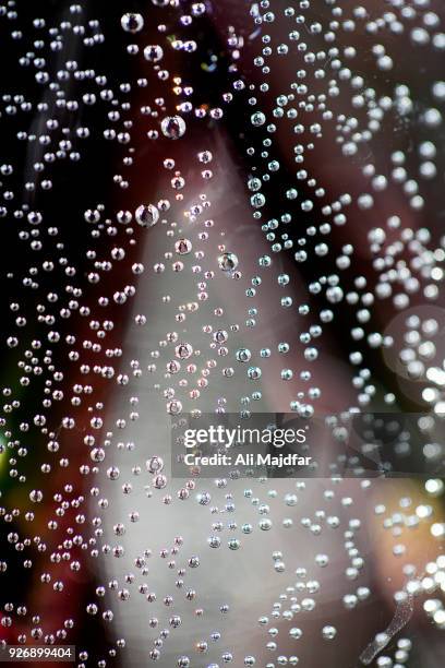 air bubbles - ali rose fotografías e imágenes de stock