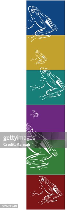 Frog Frog