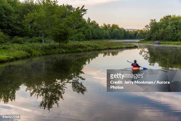 a kayaker on northeast creek on mount desert island. bar harbor, maine. - tide rivers stock pictures, royalty-free photos & images