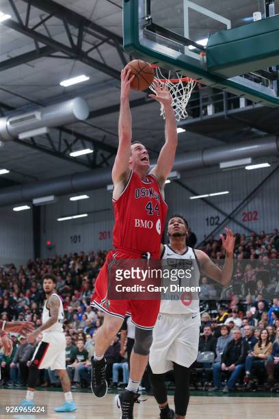 Marshall Plumlee of the Wisconsin Herd shoots the ball against the Raptors 905 on March 3, 2018 at the Menominee Nation Arena in Oshkosh, Wisconsin....