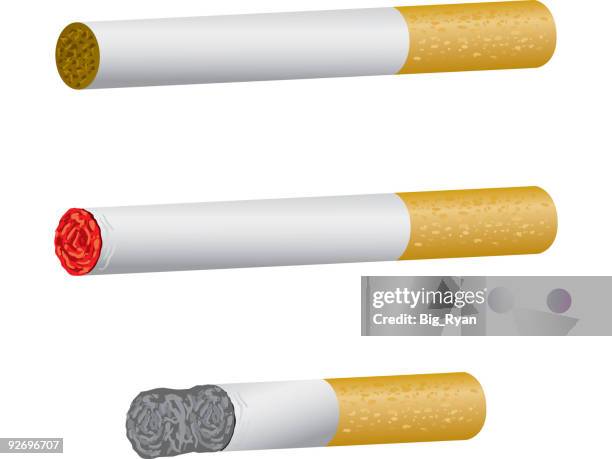 ilustrações de stock, clip art, desenhos animados e ícones de estão fundidas - beata de cigarro