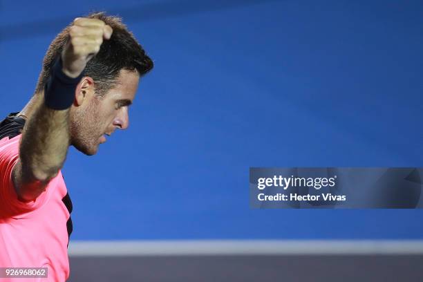 Juan Martin del Potro of Argentina celebrates during a semifinal match between Juan Martin del Potro of Argentina and Alexander Zverev of Germany as...
