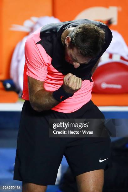Juan Martin del Potro of Argentina celebrates during a semifinal match between Juan Martin del Potro of Argentina and Alexander Zverev of Germany as...