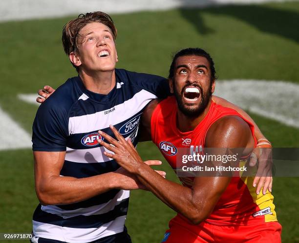 Rhys Stanley of the Cats and Tom Nicholls of the Suns contest the ball during the AFL JLT Community Series match between the Geelong Cats and the...