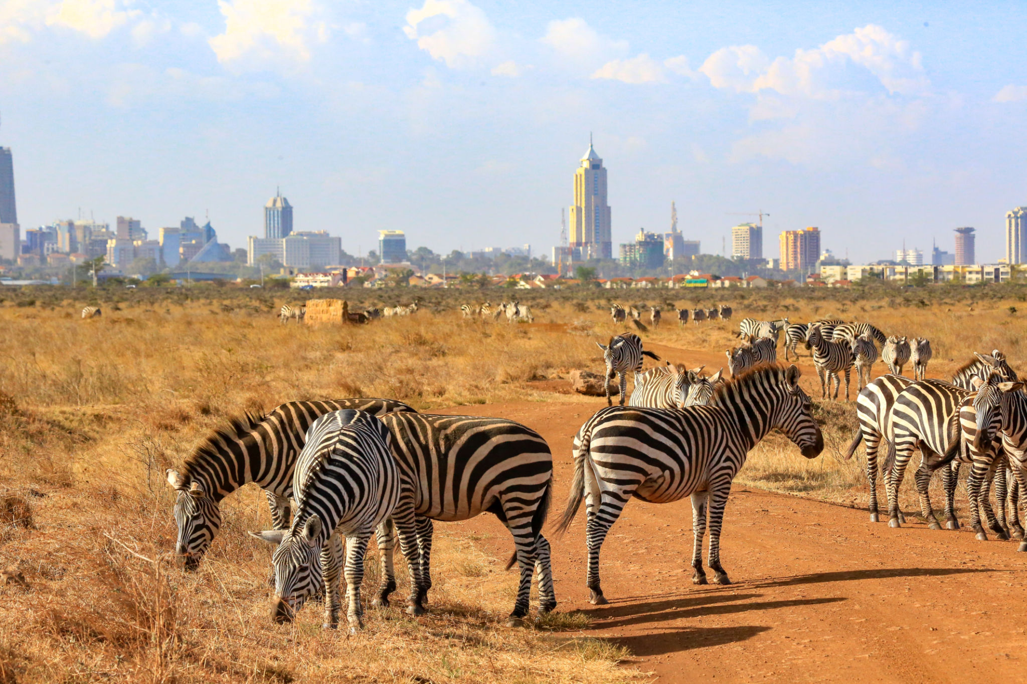 nairobi national park