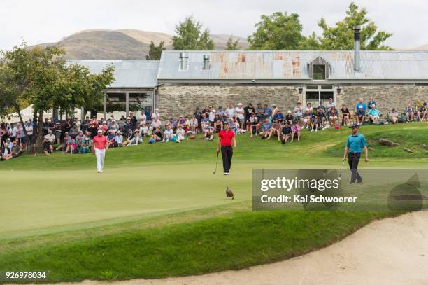 David Bransdon of Australia, Daniel Nisbet of Australia and Jarin Todd of the United States chase a duck on the 17th green during day four of the...