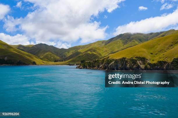 nelson and marlborough sounds - new zealand - canais de marlborough - fotografias e filmes do acervo
