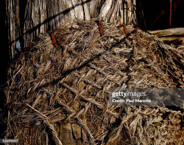 Tattered Rope 372 Ripping Rope Stock Photos, High-Res Pictures, and Images - Getty Images
