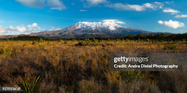 tongariro national park - new zealand - tongariro crossing stock pictures, royalty-free photos & images